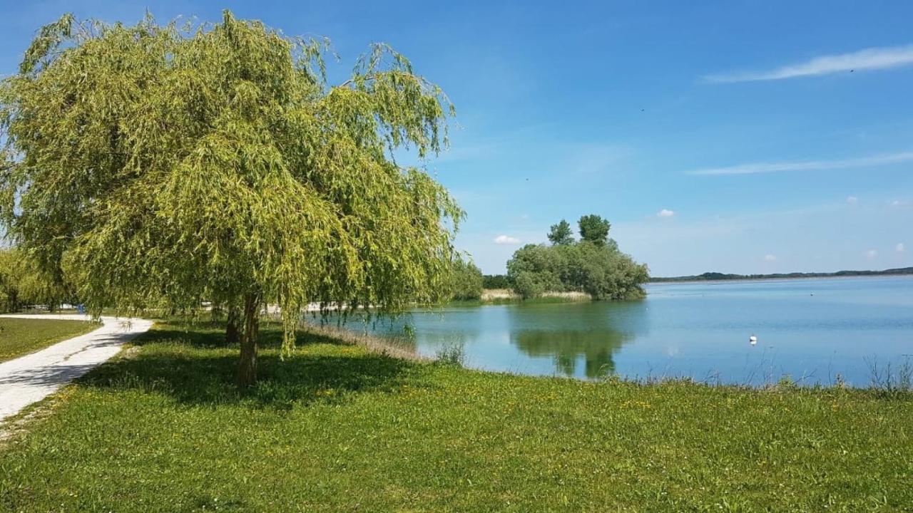 Le Nichoir Lac Du Der Droyes Buitenkant foto